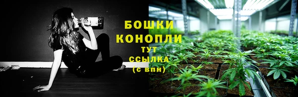 амф Нязепетровск
